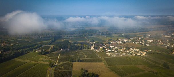 Vista aerea Vigneti al sole, Vigneti di Loupiac, Bordeaux Vigneti, Francia
 - Foto, immagini