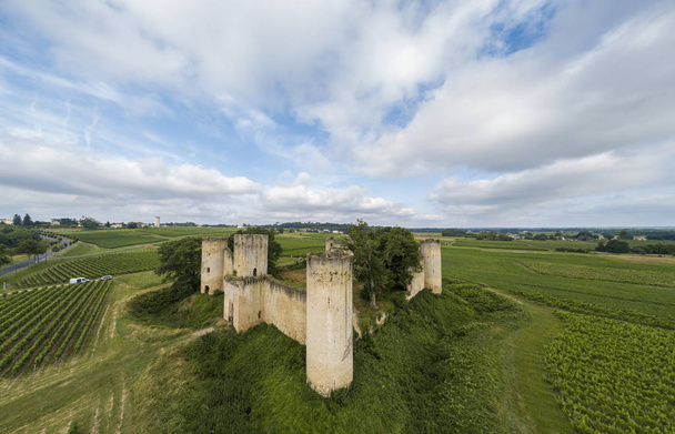 Letecký pohled na zámek de Budos a pšeničné pole v létě, Bordeaux, Gironde, Akvitánie, Francie - Fotografie, Obrázek