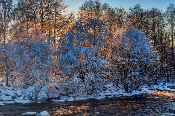 rough river in winter with snow-covered trees and steam above the water - Photo, image