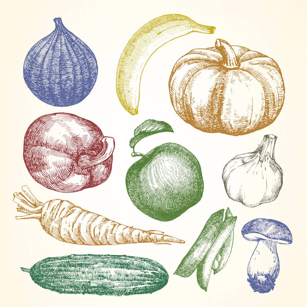 Ručně kreslené ilustrace zeleniny a ovoce, vektor - Vektor, obrázek