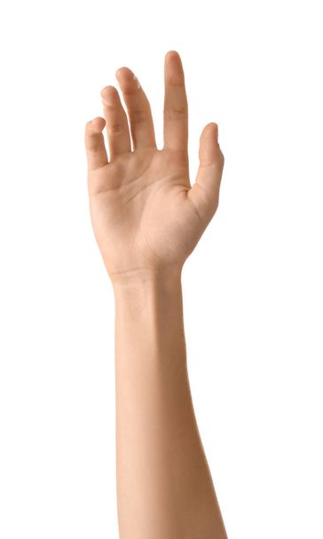 Female hand on white background - Photo, image