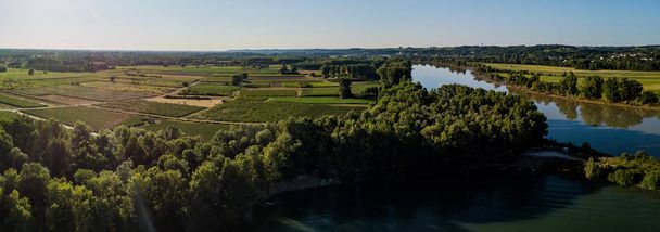 Αεροφωτογραφία Μπορντό αμπελώνα στο sunrise, ταινία από drone το καλοκαίρι, Entre deux mers, Langoiran - Φωτογραφία, εικόνα