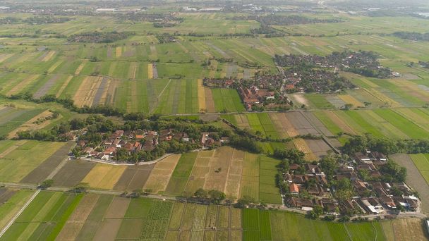 Campo de arroz y tierras agrícolas en Indonesia - Foto, imagen