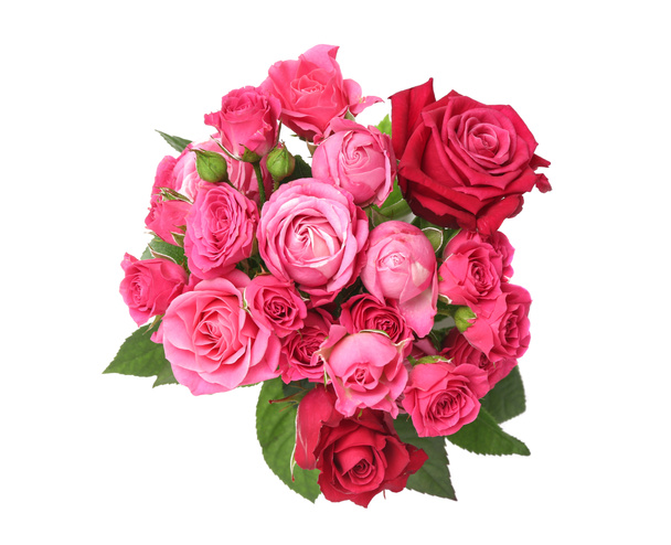 Beautiful bouquet of pink roses on white background - Valokuva, kuva