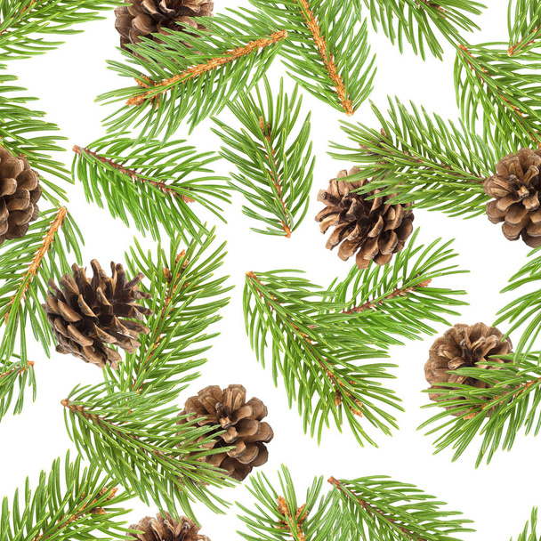 Fir tree větve bezešvé pattern, borové větve, vánoční jehličnatý izolovaných na bílém pozadí - Fotografie, Obrázek