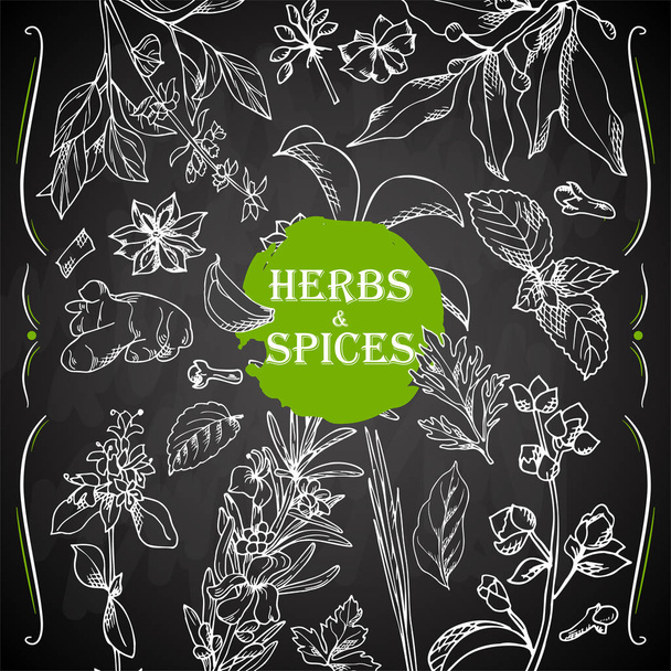 Herbes et épices dessinées à la main. Fond décoratif avec des éléments de croquis. Illustration vectorielle
 - Vecteur, image
