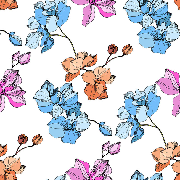Vektor růžové, modré a oranžové orchideje. Květy, izolované na bílém. Ryté inkoust umění. Vzor bezešvé pozadí. Tiskové textura tapety. - Vektor, obrázek