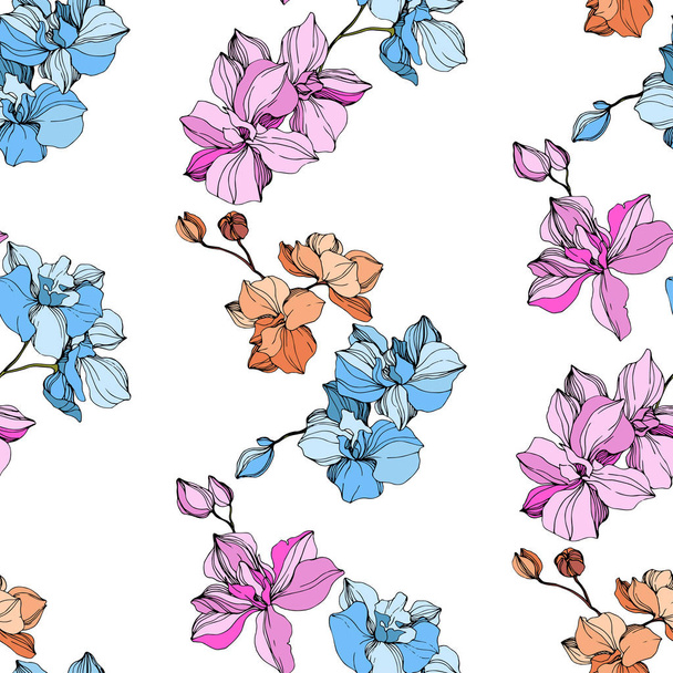 Vector pink, blue and orange orchids. Wildflowers isolated on white. Engraved ink art. Seamless background pattern. Wallpaper print texture. - Vettoriali, immagini