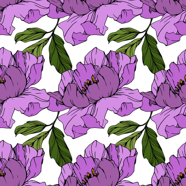 Vector purple peonies. Wildflowers isolated on white. Engraved ink art. Seamless background pattern. Wallpaper print texture. - Vector, Image