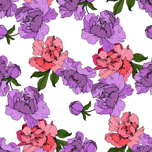 Vector Pink and purple peonies. Wildflowers isolated on white. Engraved ink art. Seamless background pattern. Wallpaper print texture. - Vetor, Imagem