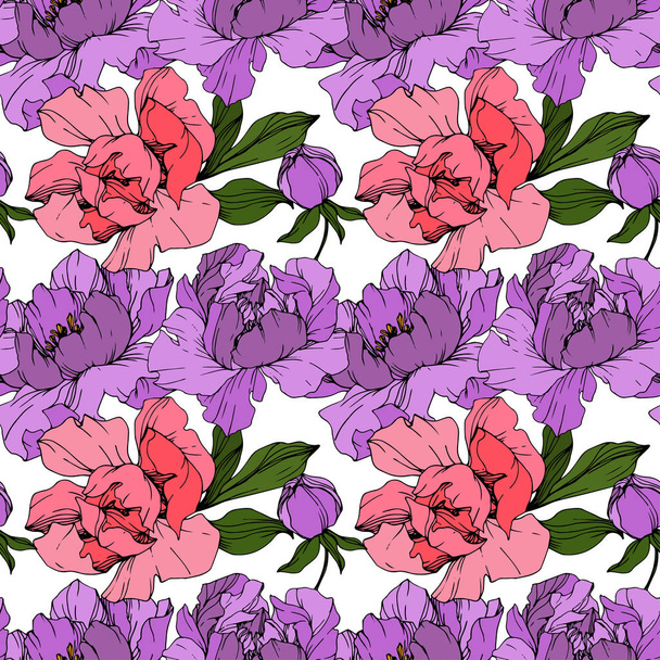 Vector Pink and purple peonies. Wildflowers isolated on white. Engraved ink art. Seamless background pattern. Wallpaper print texture. - Vector, imagen