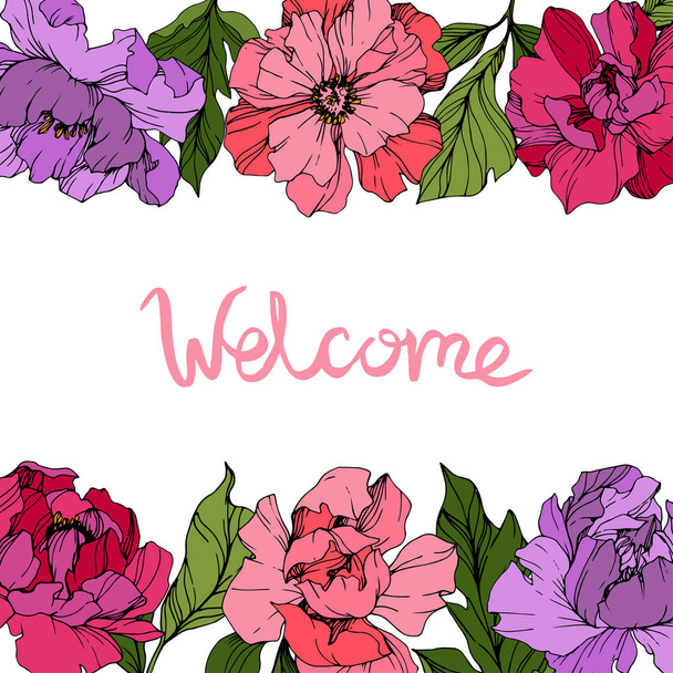 Vector Pink and purple peonies. Wildflowers isolated on white. Engraved ink art. Floral frame border with 'welcome' lettering - Vector, Image