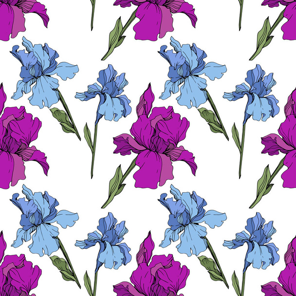 Vector purple and blue irises. Wildflowers isolated on white. Engraved ink art. Seamless background pattern. Wallpaper print texture. - Wektor, obraz