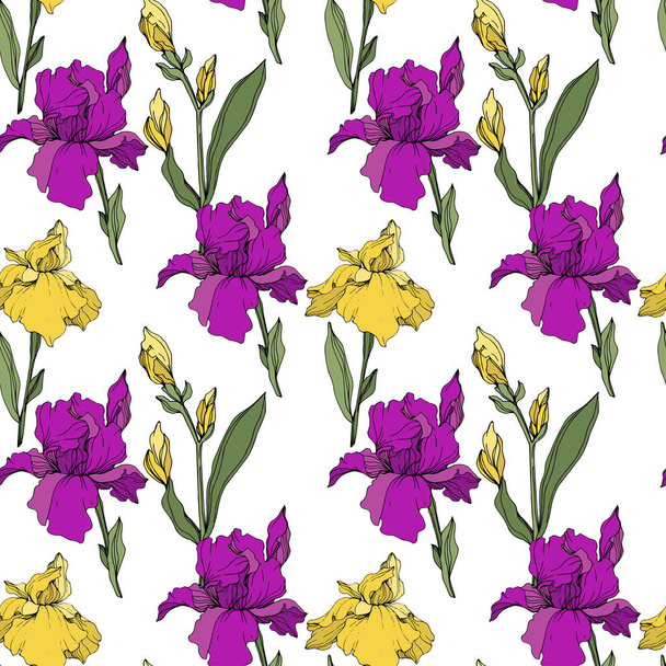 Vector purple and yellow irises. Wildflowers isolated on white. Engraved ink art. Seamless background pattern. Wallpaper print texture. - Wektor, obraz