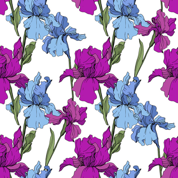 Vector paarse en blauwe irissen. Wilde bloemen op wit wordt geïsoleerd. Gegraveerde inkt art. Naadloze achtergrondpatroon. Behang print textuur. - Vector, afbeelding