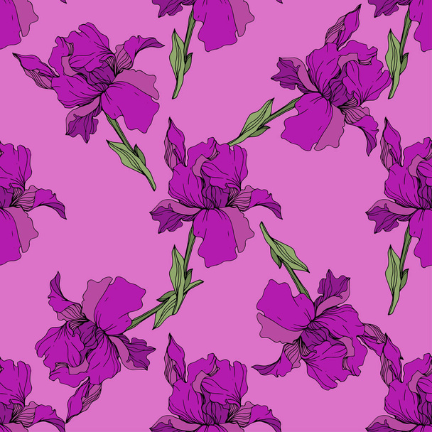 Vector purple irises. Wildflowers isolated on pink. Engraved ink art. Seamless background pattern. Wallpaper print texture. - Vector, Image