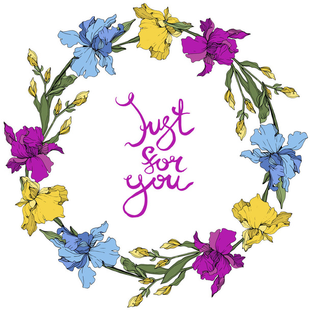 Vector purple, blue and yellow irises. Wildflowers isolated on white. Floral frame border with 'just for you' lettering - Vetor, Imagem