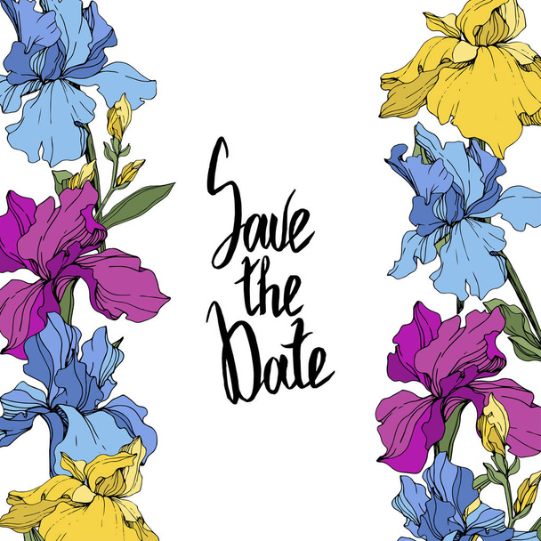 Vektor violette, blaue und gelbe Schwertlilien. Wildblumen isoliert auf weiß. Blumenrahmen mit "Speichern Sie das Datum" -Schriftzug - Vektor, Bild