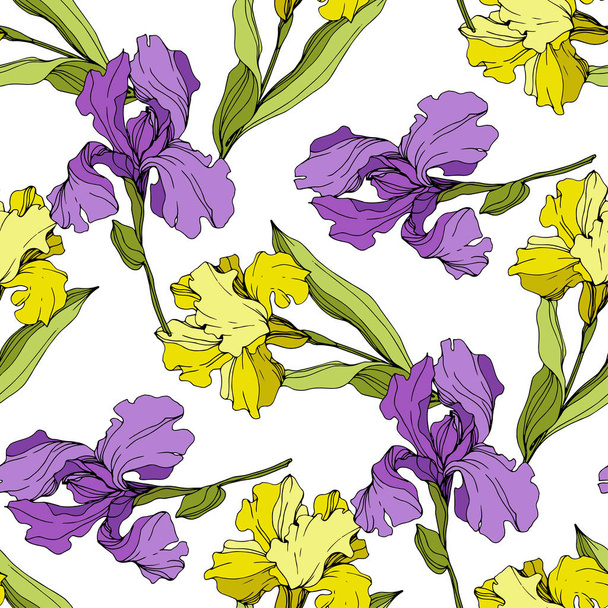 Vector yellow and purple Irises. Colorful wildflowers isolated on white. Engraved ink art. Seamless background pattern. Wallpaper print texture. - Vektör, Görsel