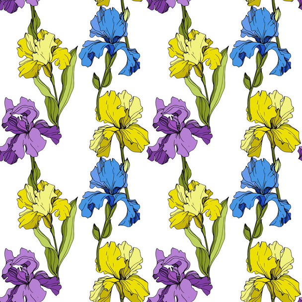 Vector yellow, blue and purple Irises. Colorful wildflowers isolated on white. Engraved ink art. Seamless background pattern. Wallpaper print texture. - ベクター画像