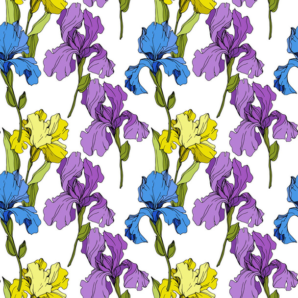 Vector yellow, blue and purple Irises. Colorful wildflowers isolated on white. Engraved ink art. Seamless background pattern. Wallpaper print texture. - Vektori, kuva