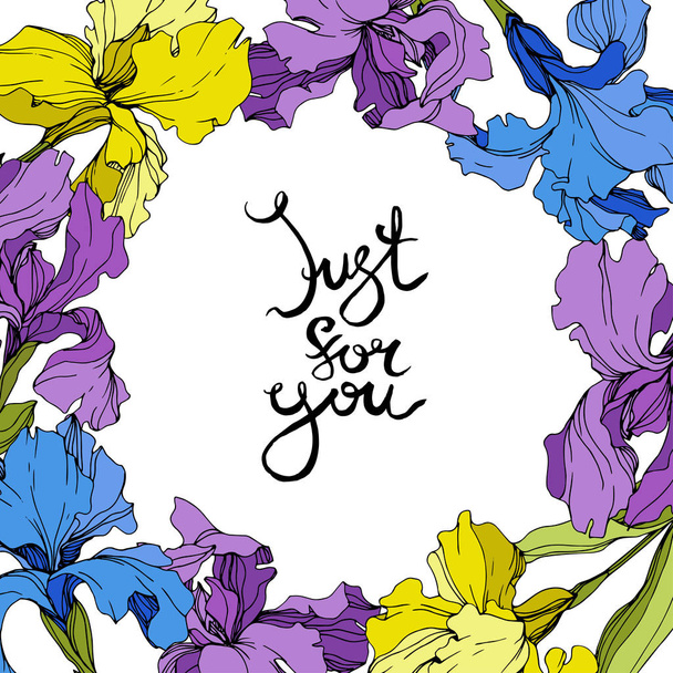 Vektor lila, sárga és kék íriszek. Színes vadvirágok elszigetelt fehér. Vésett tinta art. Keretszegély a "csak a te" felirat - Vektor, kép