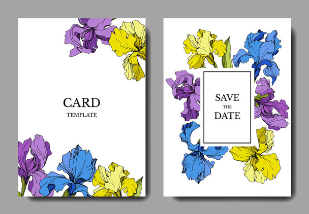 Vector irises. Engraved ink art. Wedding cards with decorative flowers on background. Invitation cards graphic set banner - Vetor, Imagem