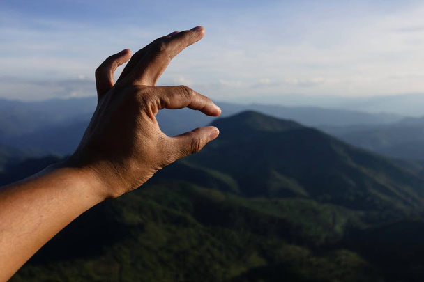 O.K Símbolo de la mano en Bosque de Pinos
 - Foto, Imagen