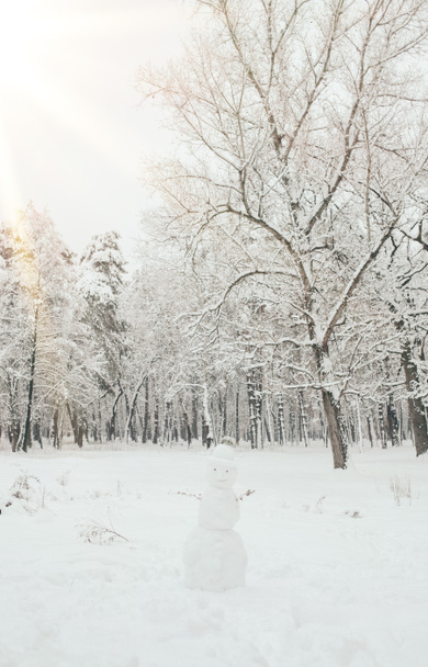 vista panorámica de los árboles nevados y muñeco de nieve en el bosque de invierno
 - Foto, imagen