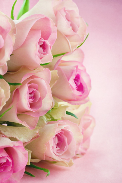 Roses on pink textured background - Photo, Image