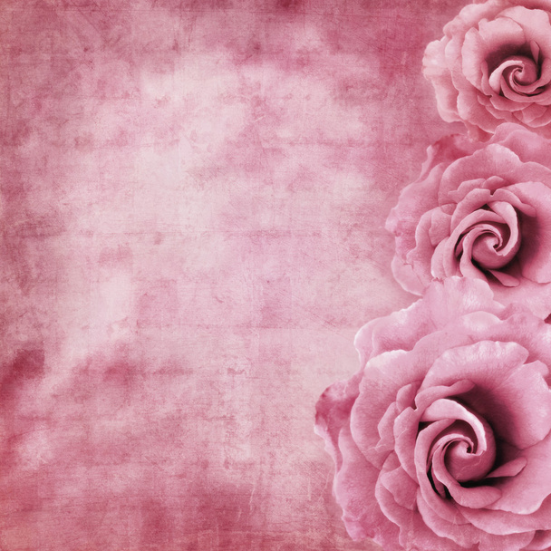 Grunge Roses Background - Photo, Image