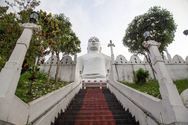 Bahirawakanda Vihara Buddha Statue in Kandy, Sri Lanka - Fotoğraf, Görsel