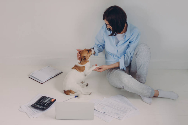 Femme brune habillée de façon décontractée, étudie le rapport de revenus, s'assoit sur le sol avec ordinateur portable, documents papier, calculatrice, bloc-notes, s'amuse avec son animal préféré, isolé sur fond blanc
 - Photo, image
