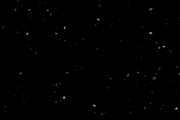 płatki śniegu na czarnym tle  - Zdjęcie, obraz