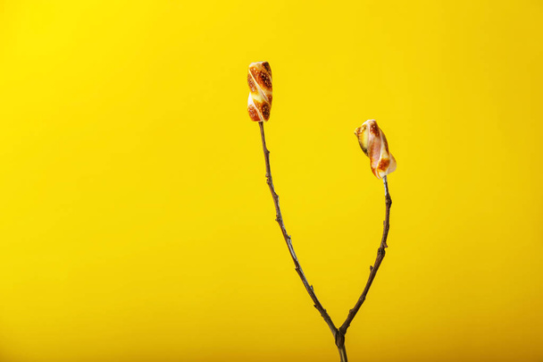 Tree branch with tasty grilled marshmallows on color background - Fotó, kép