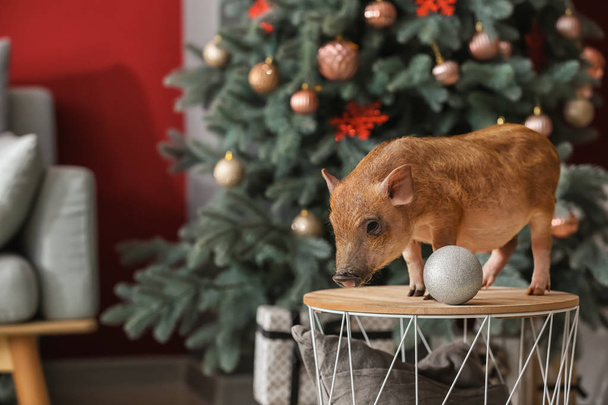 Χαριτωμένο μικρό γουρούνι στο δωμάτιο που διακοσμείται για τα Χριστούγεννα - Φωτογραφία, εικόνα
