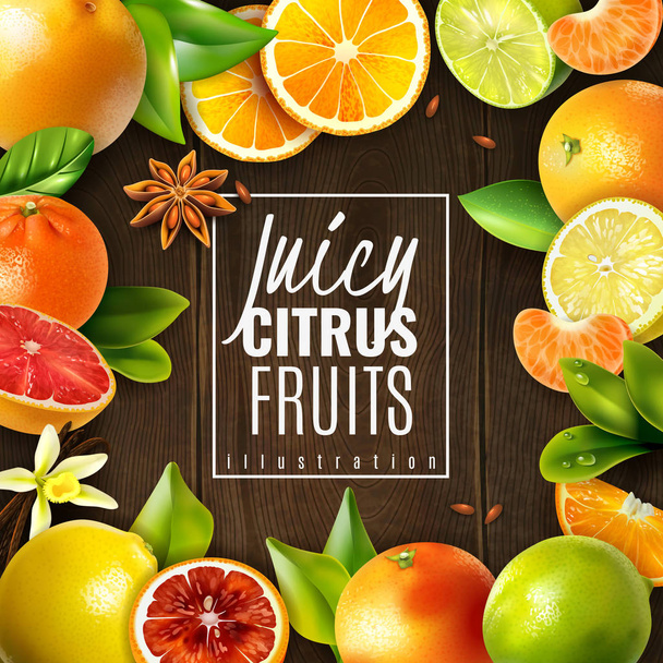 citrusvruchten achtergrond - Vector, afbeelding