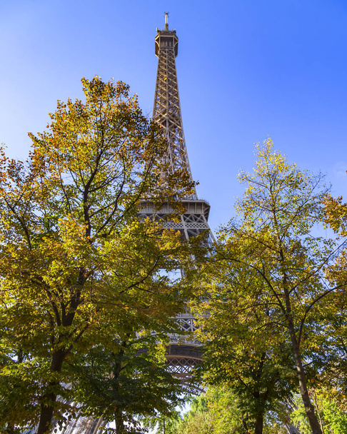 PARIS, FRANCE, on OCTOBER 26, 2018. Picturesque trees at the bottom of the Eiffel Tower (fr. tour Eiffel). Fish-eye view - Foto, immagini