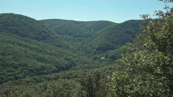 Panorama van bos bergen in de achtergrond blauwe hemel - Video