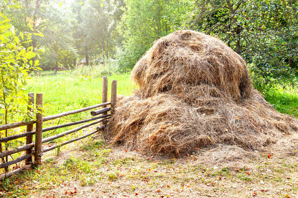 Stapel droog hooi op zonnige zomerdag op platteland - Foto, afbeelding