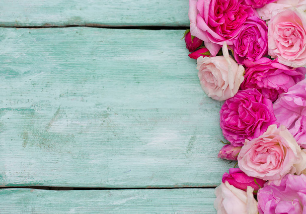 belle rose da giardino su superficie di legno turchese
 - Foto, immagini
