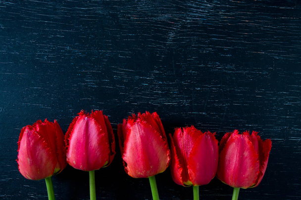 red tulips on dark wooden surface - 写真・画像