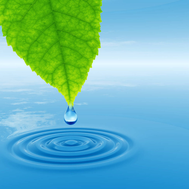 Concetto o concettuale acqua di sorgente pulita o goccia di rugiada che cade da una foglia fresca verde sull'illustrazione 3D acqua limpida blu che fa onde
 - Foto, immagini