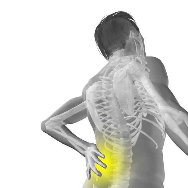 hochauflösendes Konzept oder konzeptionelle 3D menschliche männliche oder männliche Anatomie mit Rückenschmerzen isoliert auf weißem Hintergrund - Foto, Bild