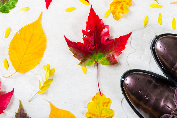 Trendy Leather Lace Up Brogues with Leaves. Composition made from autumn leaves. Flat lay, top view - 写真・画像