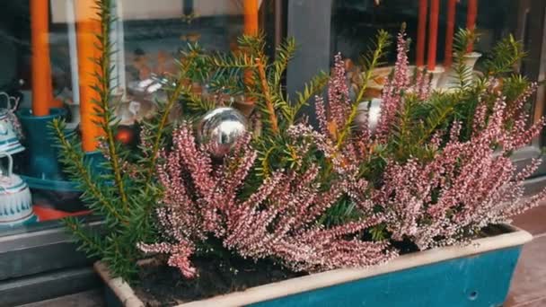 Kauniisti sisustettu ikkuna laventeli joulumarkkinoilla Saksassa, Nürnberg
 - Materiaali, video