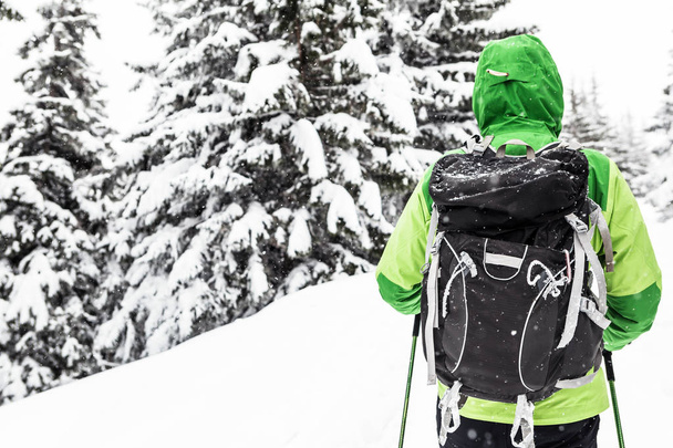 Caminata de invierno en un bosque blanco nevado. Hombre de excursión en los bosques de invierno. Viajes y estilo de vida saludable al aire libre en hermosa naturaleza
. - Foto, Imagen