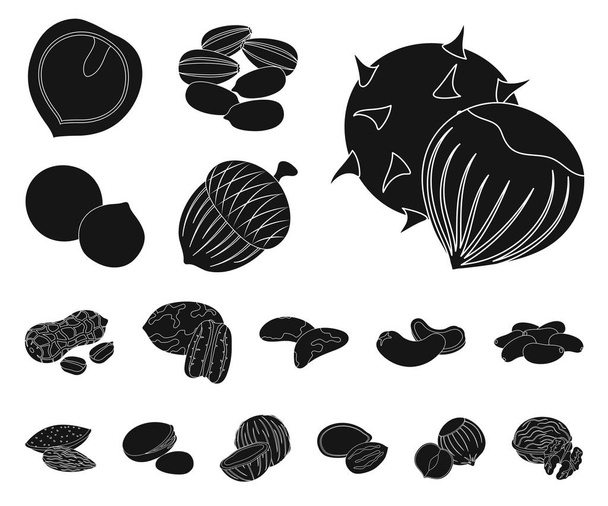 Różne rodzaje orzechów czarny ikony w kolekcja zestaw do projektowania. Nakrętka ilustracja jedzenie wektor symbol zasobów sieci web. - Wektor, obraz