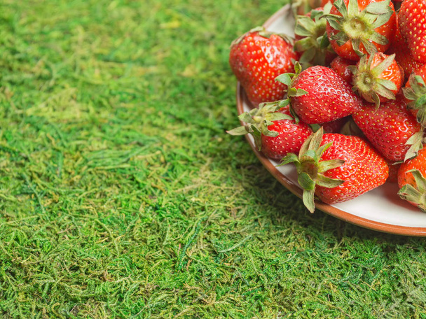 Plate with harvested strawberries on green grass with copy space - Photo, Image