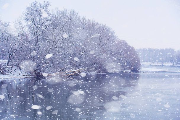 Winter mooie scène met sneeuwvlokken - Foto, afbeelding